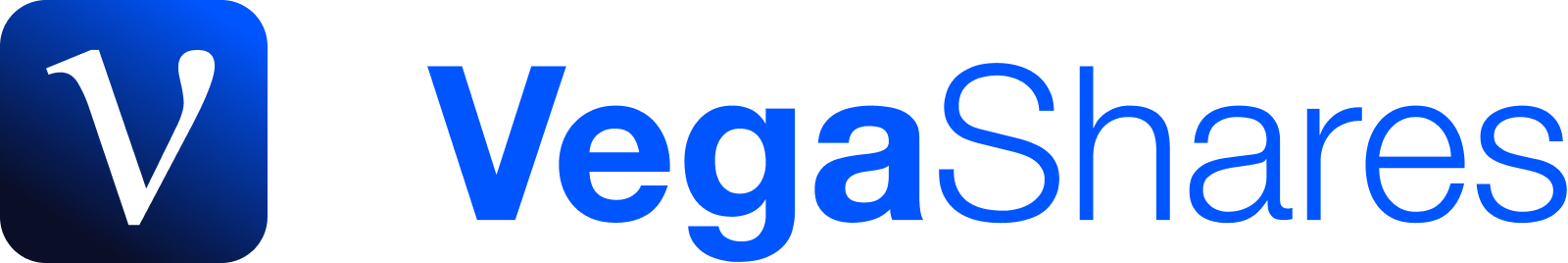 Vega Capital Partners